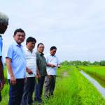 Huyện Hồng Dân: Phát triển kinh tế nông nghiệp theo hướng toàn diện và bền vững