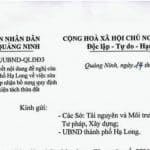 Tỉnh Quảng Ninh: “ UBND thành phố Hạ Long không ban hành thêm các quy định trái pháp luật”.