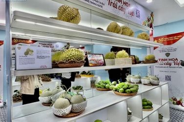 Tôn vinh nông sản Việt: “Tinh hoa trái cây Việt”