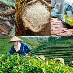 NHNN nâng quy mô tín dụng nông, lâm, thủy sản lên 185.000 tỷ đồng