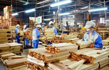 Ngành gỗ Việt Nam kỳ vọng Hoa Kỳ giữ nguyên thuế 25% để ổn định xuất khẩu