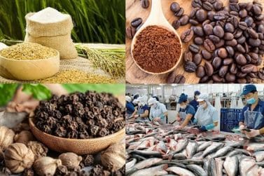 Nông sản Việt trước “ngưỡng cửa xanh”: Từ tăng trưởng xuất khẩu đến giá trị bền vững