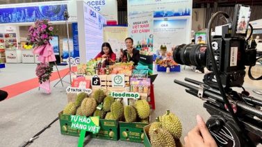 Doanh nghiệp lương thực, thực phẩm tăng tốc xuất khẩu nhờ thương mại điện tử