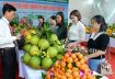 Lễ hội trái cây Bắc Ninh 2025 diễn ra từ ngày 5 đến 10/12/2025