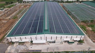 Công ty thép Hòa Phát Long An tự chủ gần 40% điện sản xuất nhờ hệ thống điện mặt trời