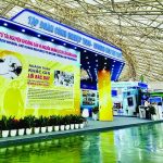 TKV tham gia Triển lãm thành tựu đất nước “80 năm – hành trình độc lập – tự do – hạnh phúc”