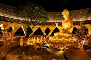 Chuyện ít biết về cây sung cổ bên tượng Phật Câu Na Hàm Mâu Ni trên núi Bà Đen