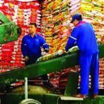 Tin xuân từ Supe Lâm Thao