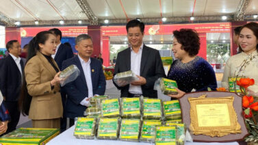 Hà Nội khai mạc Không gian trưng bày “Xuân đoàn viên”, kết nối tiêu dùng Tết Bính Ngọ 2026