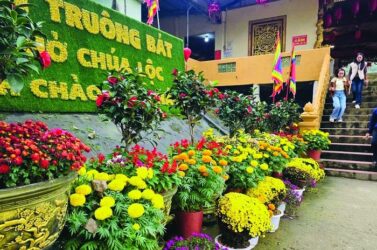 Đền thiêng Truông Bát: Nơi gìn giữ nét đẹp văn hóa tâm linh