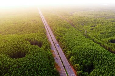 Khám phá cung đường chạy đẹp nhất Việt Nam: Băng rừng di sản, xuyên “kỳ quan đô thị biển” tại Cần Giờ