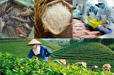 Xây dựng thương hiệu mạnh – Chìa khoá để doanh nghiệp Việt hội nhập