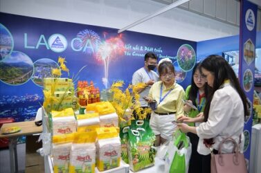 Thương hiệu Việt Nam 2026: Từ nội lực đến vị thế toàn cầu