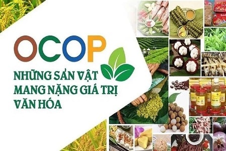 Hoàn thiện bộ tiêu chí OCOP: Tạo lực đẩy mới cho kinh tế nông thôn giai đoạn 2026–2035