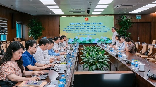 TKV làm việc với Ban Chính sách, Chiến lược Trung ương