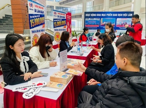 Vingroup tuyển hơn 20.000 lao động cho siêu dự án đô thị thể thao