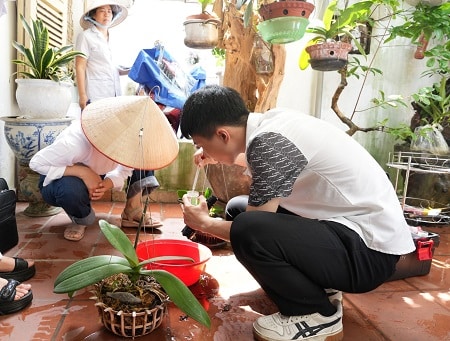 Hải Phòng ghi nhận 79 trường hợp mắc sốt xuất huyết do vi rút Dengue gây ra