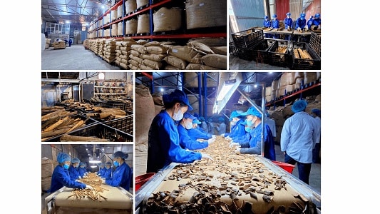 Lào Cai hỗ trợ 3 doanh nghiệp thúc đẩy khoa học công nghệ, đổi mới sáng tạo và chuyển đổi số năm 2026