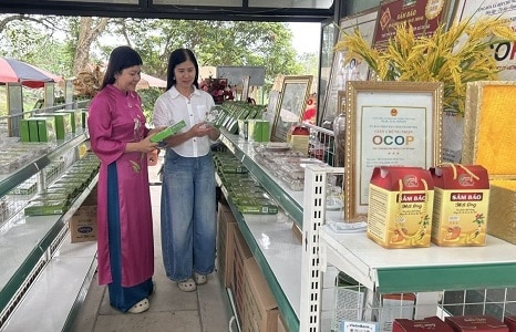 Sản phẩm OCOP trở thành đại sứ du lịch trong kỷ nguyên số