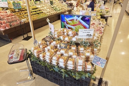 Sắp diễn ra Tuần hàng Việt Nam tại Nhật Bản, mở cơ hội đưa hàng vào hệ thống AEON