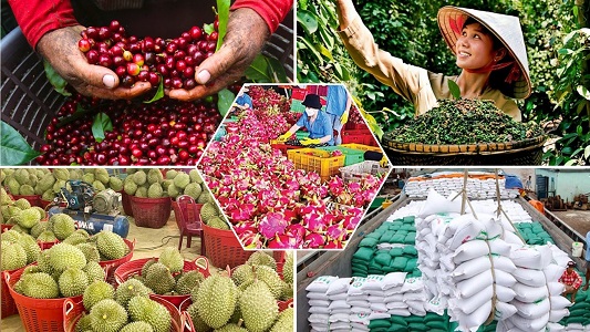 Hàng Việt bước vào cuộc chơi mới: Chinh phục thị trường bằng năng lực thích ứng