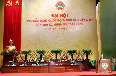Hỗ trợ nông dân chuyển đổi số, phát triển sản xuất theo chuỗi giá trị