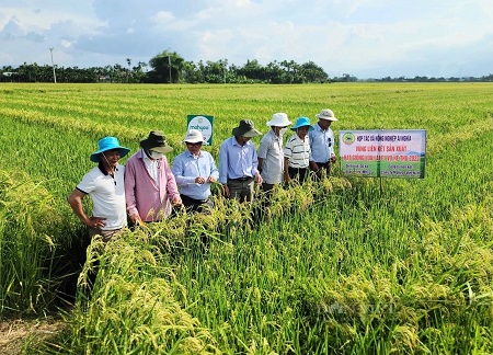 Các nguồn lực hỗ trợ doanh nghiệp, hợp tác xã thuộc Hệ sinh thái tận dụng các FTA