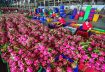 Xuất khẩu nông sản bước vào đợt “siết chuẩn” mới