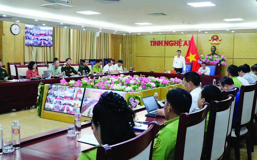 Nghệ An: Chính sách mở đường, tạo dựng chuỗi giá trị lâm nghiệp bền vững