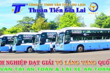Thuận Tiến-Gia Lai: Mười lăm năm một chặng đường hình thành và phát triển
