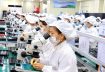 Hỗ trợ doanh nghiệp chuẩn hóa về nhãn mác, đo lường chất lượng