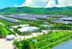 50 năm Vinamilk: Khi đạt chuẩn chưa phải là điểm dừng